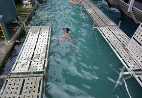 雅音鷹架梓官鷹架公司安全防護